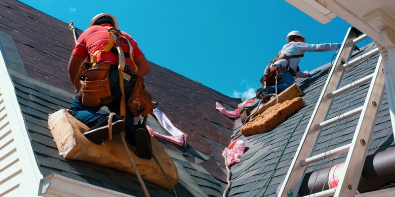 Explore the different services offered by the roofing company