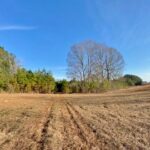 Land in Mississippi