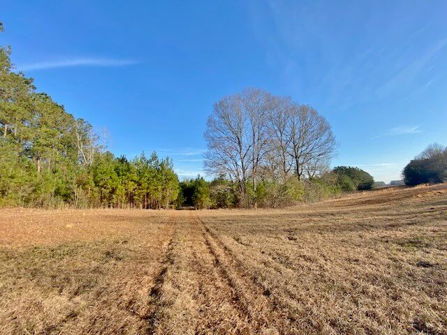 Land in Mississippi